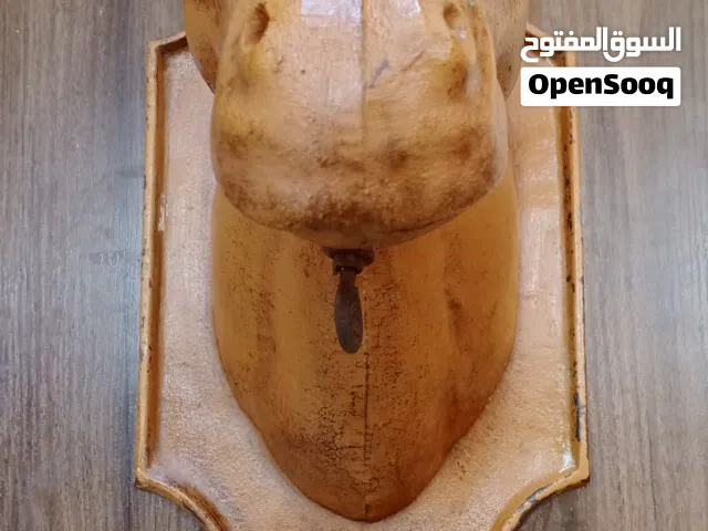 قطعة انتيك رأس حصان حديد وزن 4 كغم جميلة جدا عمرها أكثر من 70عام