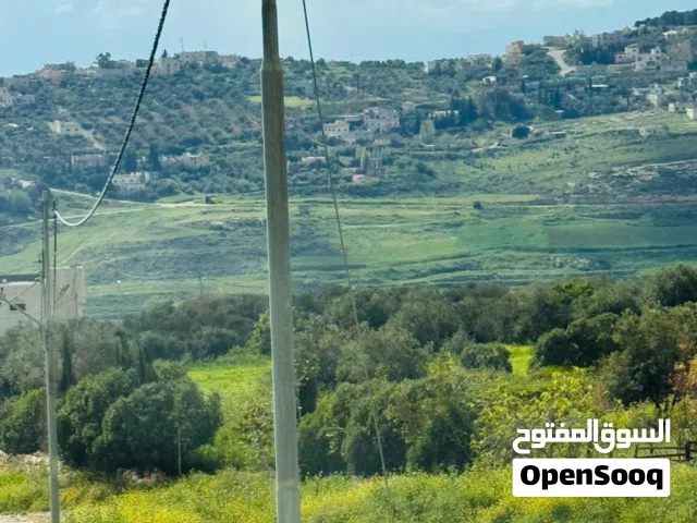 Farm Land for Sale in Amman Naour