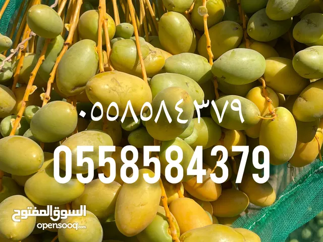 تمر خلاص فاخر للبيع ماشاءالله تبارك الله تمر كبير