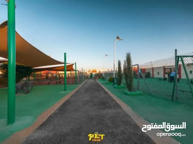 فندق للقطط والكلاب الاكبر في الأردن والوحيد المرخص بفرعيه ..المطار قريه الحجره و فرع زيزيا