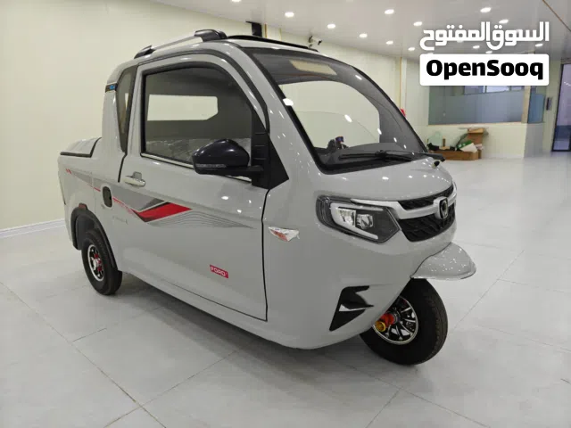 Mini Electric Three-Wheeled Motorcycle / Tricycle