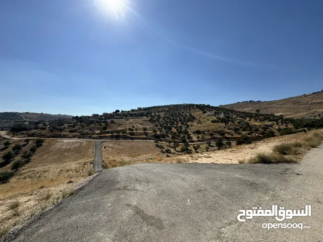 قطعه ارض من المالك مباشرة ولا مانع من البدل