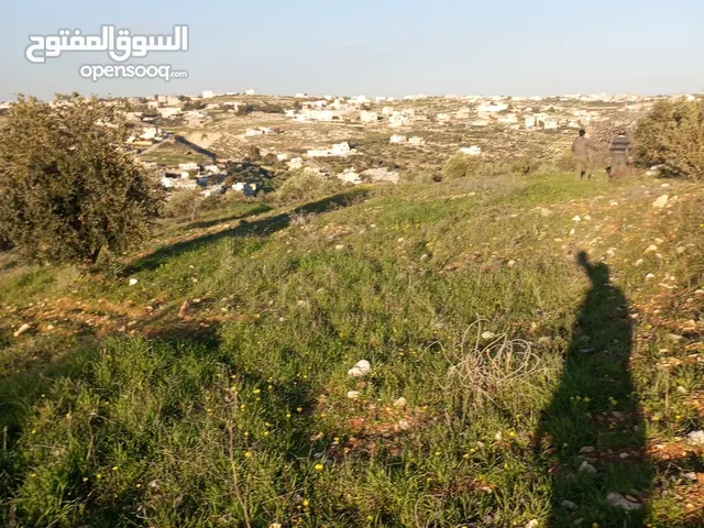 10دونمات من اصل 20دنم العال والروضه اطلاله ولا اروع بسعر مغري إفراز بقصد البيع