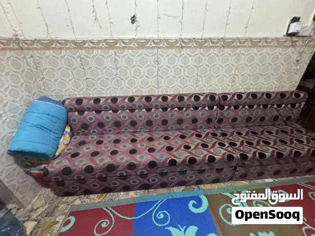 تخم قنفات للبيع