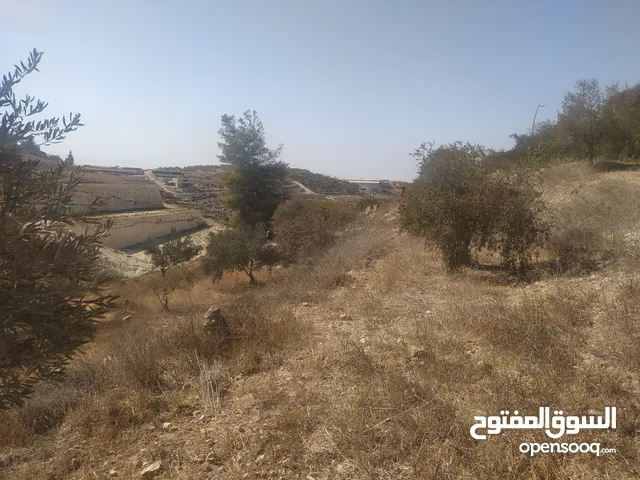 Mixed Use Land for Sale in Hebron Surif
