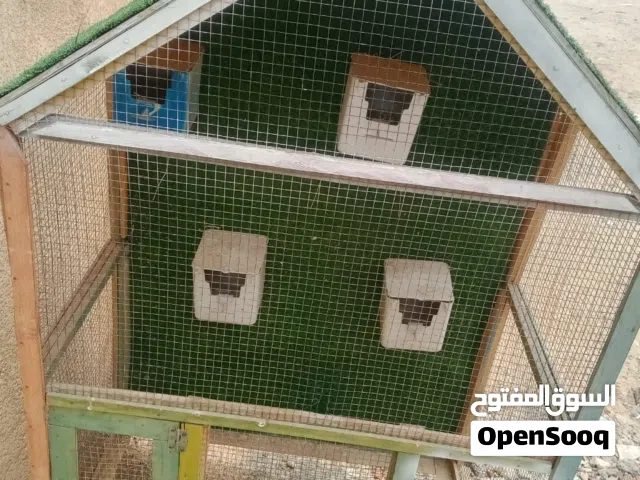 قفص شبه الجديدة  الله يبارك