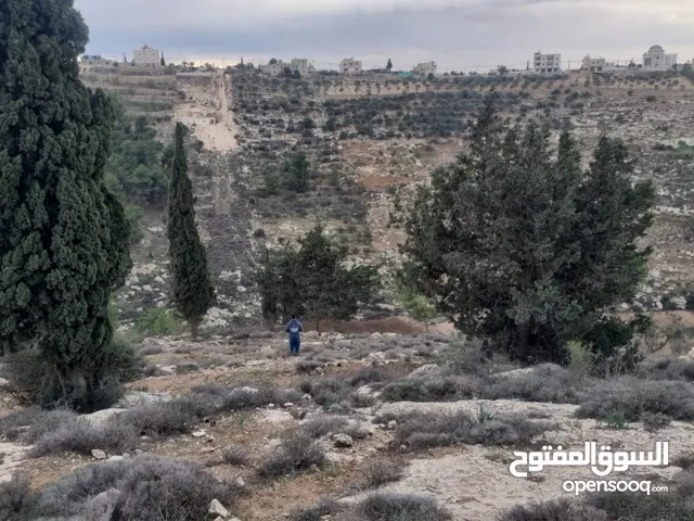 ارض للبيع في دورا ،الصره