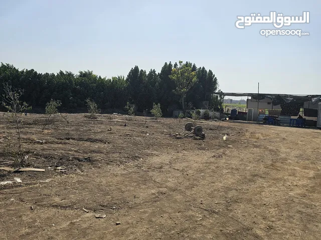 علان تجاري