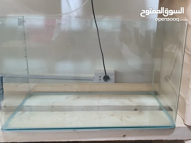 أحواض أسماك