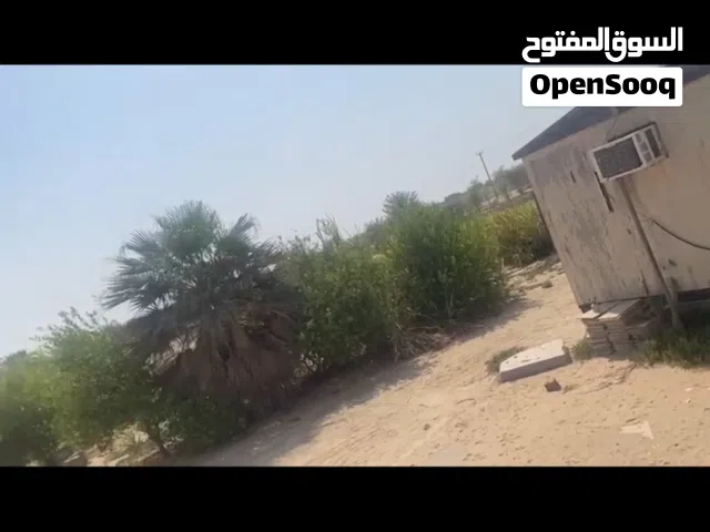 للبيع مزرعه فى الباهيه الجديده فيها سكن عمال ومسوره بشبك بالقرب من الشارع