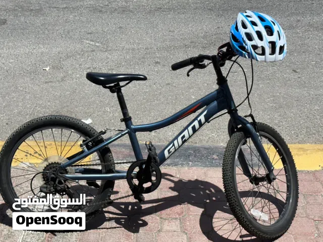 Giant company cycle used gear cycle with helmet for 10 to 15 year old kids