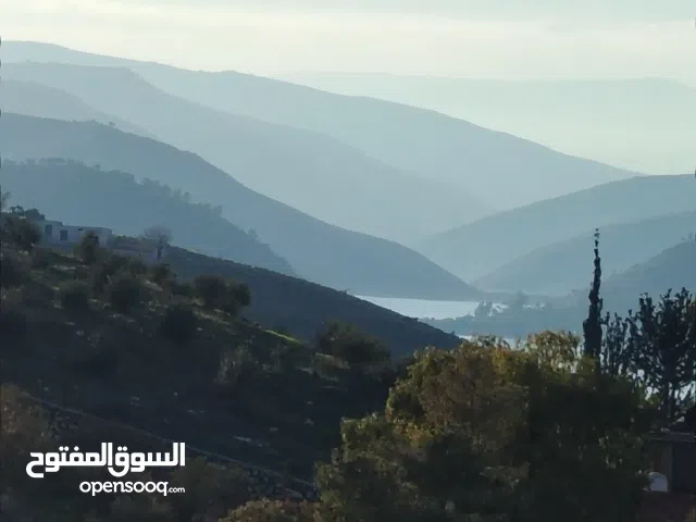 Residential Land for Sale in Jerash Al-Mastaba