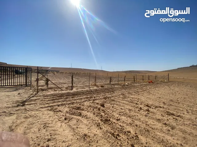 Farm Land for Sale in Amman Qafor