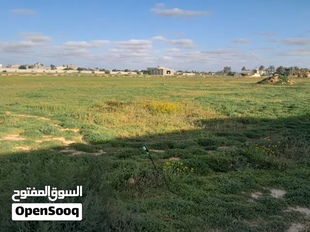 قطعة أرض في طمينة جامع الشورى