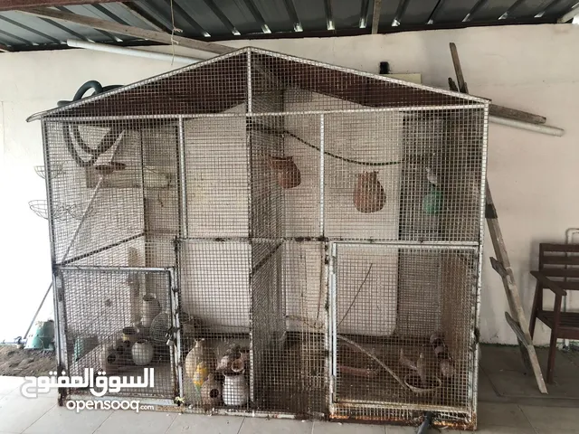 قفص للطيور مع جميع الطيور والملحقات