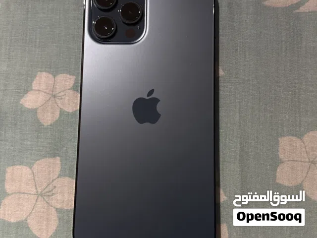 iPhone 12 Pro Max 256GB