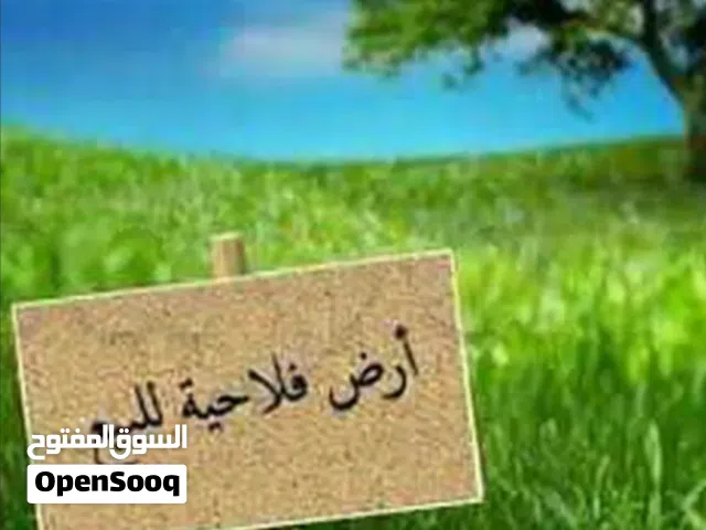 Farm Land for Sale in Nabeul Other
