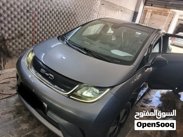 2023 بي واي دي دولفين