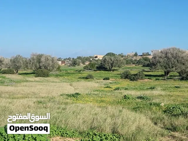 Residential Land for Sale in Al Khums Other