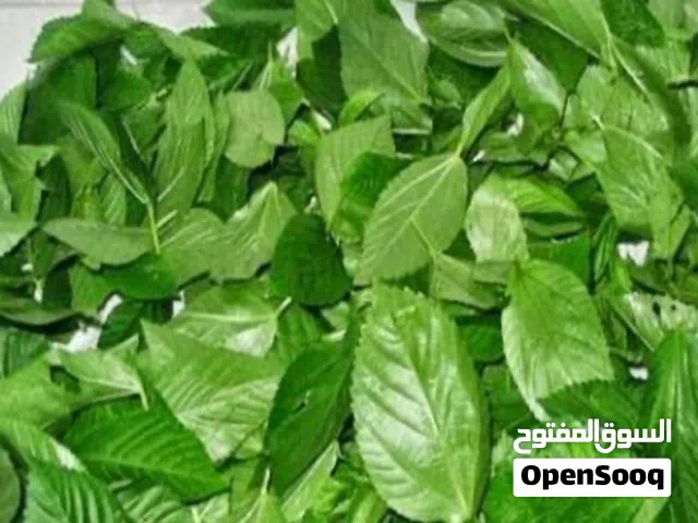 شغل البيت مخلات وملوخيه