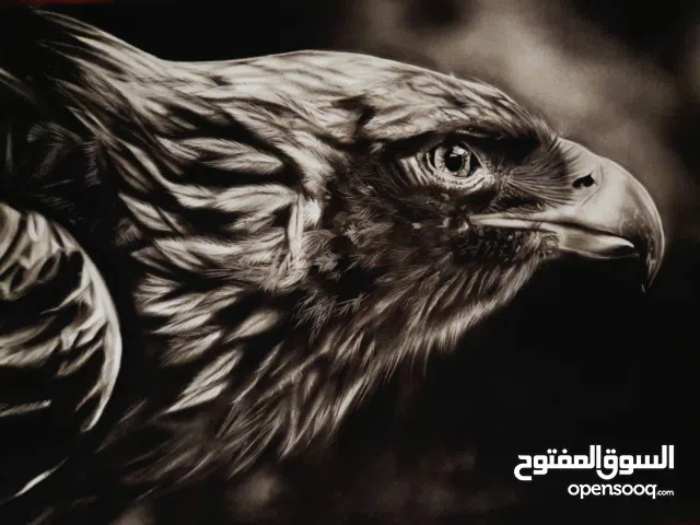 لوحة نسر بالقلم الأسود