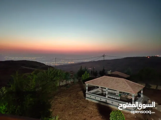 مزرعة مميزة ناعور المشقر
