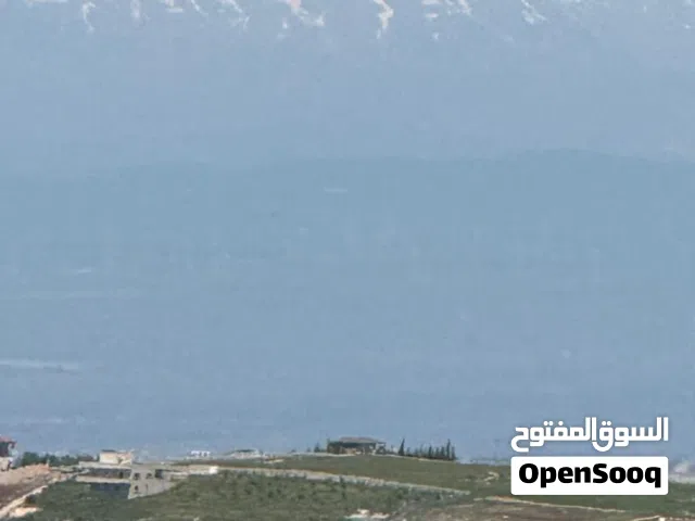 Farm Land for Sale in Ajloun Other