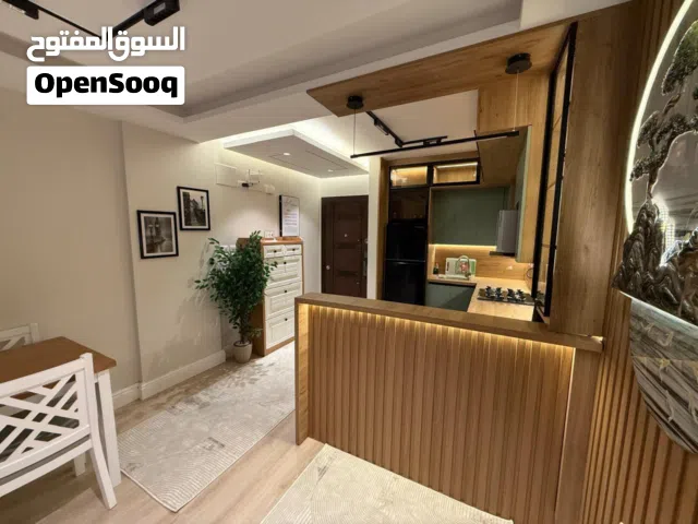 شقق فندقيه للإيجارات الفندقيه و السياحية في مدينتي