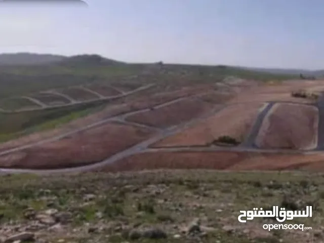 Mixed Use Land for Sale in Zarqa Birayn