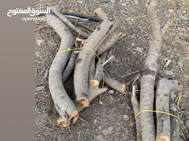 للبيع حطب سمر