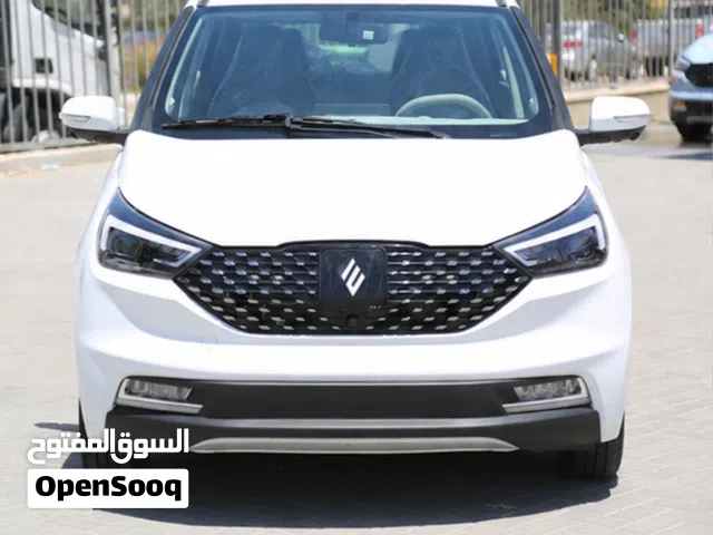 2026 JMEV EV3