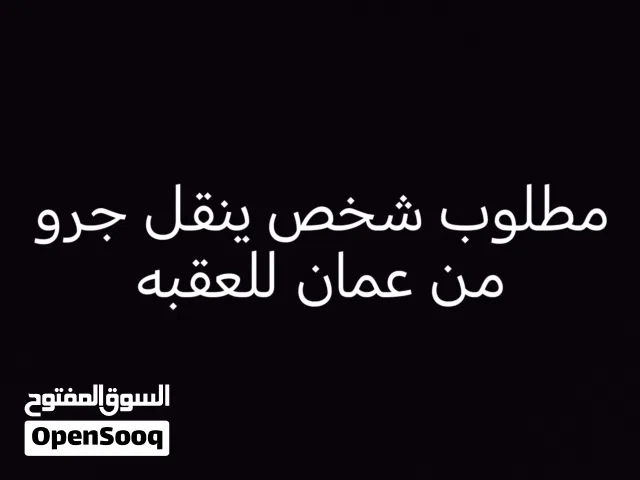 مطلوب شخص ينقل جرو من عمان للعقبه