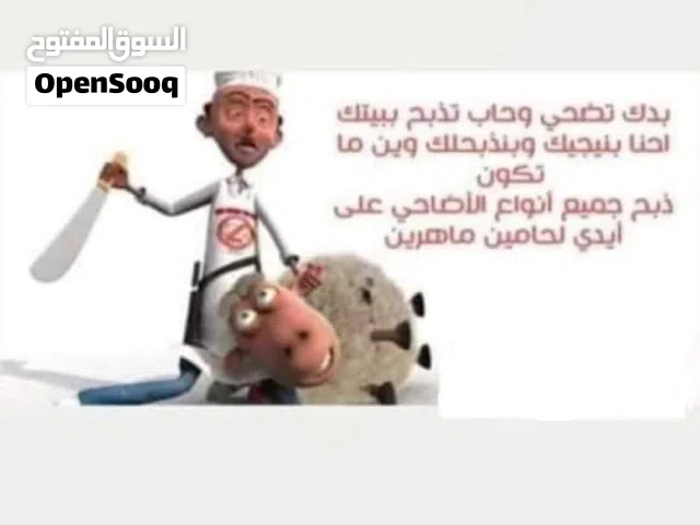 لحام خبره 15سنه