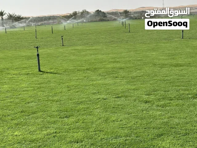 عشب طبيعي متاح توريد وتركيب بافضل سعر بفضل الله