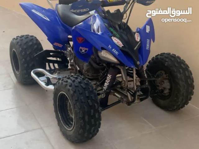 2010 yahama raptor 250