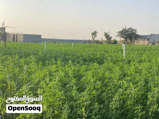 قت للبيع  ظاهرة / ينقل