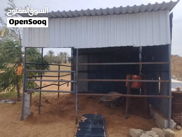 براكه خيل للبيع