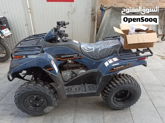 2026 Kawasaki Brute Force 300