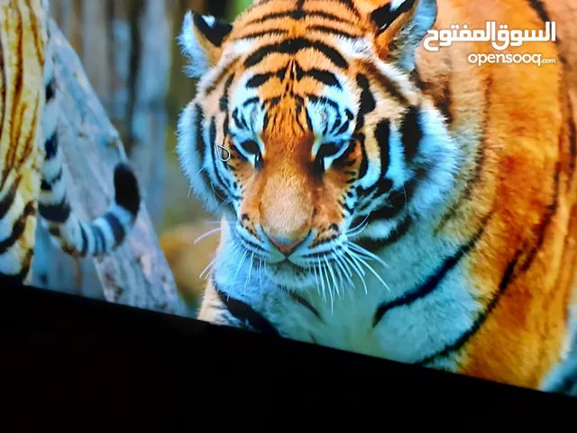 شاشة LG  50 بوصة سمارت  ريموت ماوس وأوامر صوتية