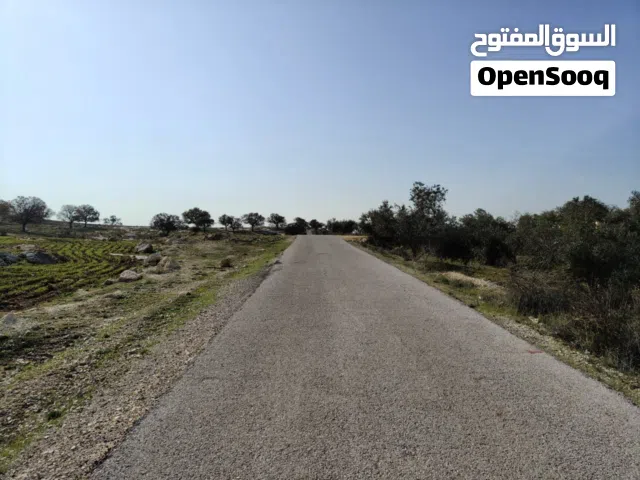 أرض مميزة للبيع بدر الجديدة / ام عبهرة بالقرب من الكاشف مساحة 1273 متر تنظيم سكن أخضر عالية مطلة