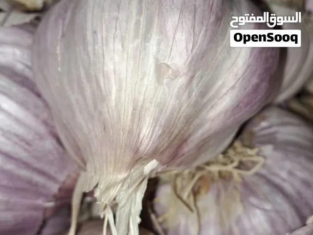 ثوم محلي للزراعة