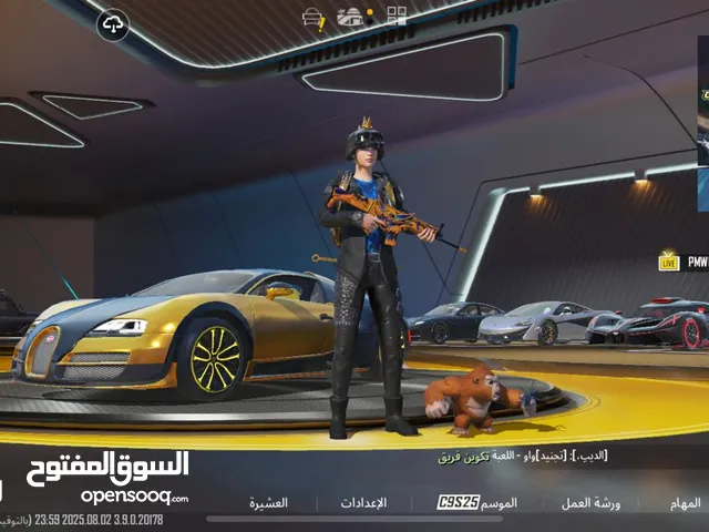 Pubg Accounts and Characters for Sale in Basra