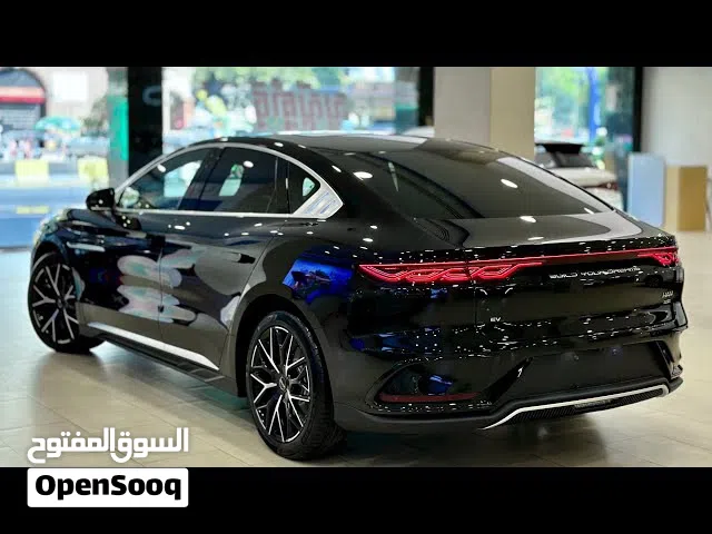 2024 BYD Han