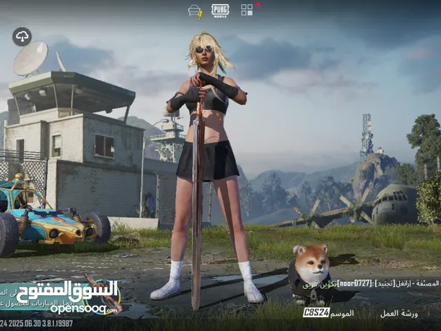 Pubg Accounts and Characters for Sale in Amman