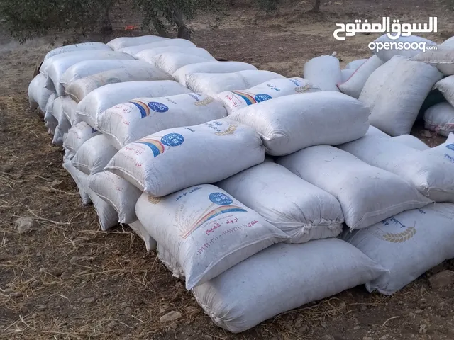تبن احمر بيقيا
