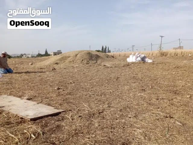تبن مواشي بيقيا