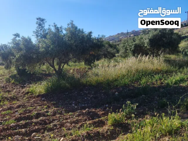 Residential Land for Sale in Jerash Marsa'