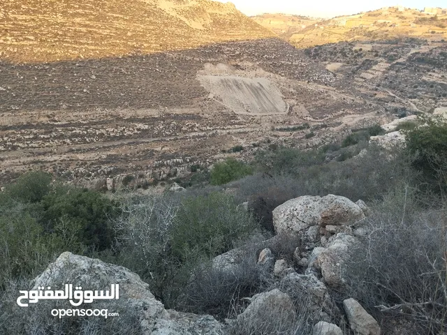 قطعة ارض جبلية وبسعر ممتاز