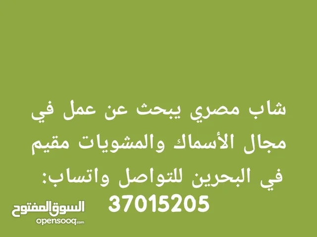 شيف أسماك ومشويات وسندوشات