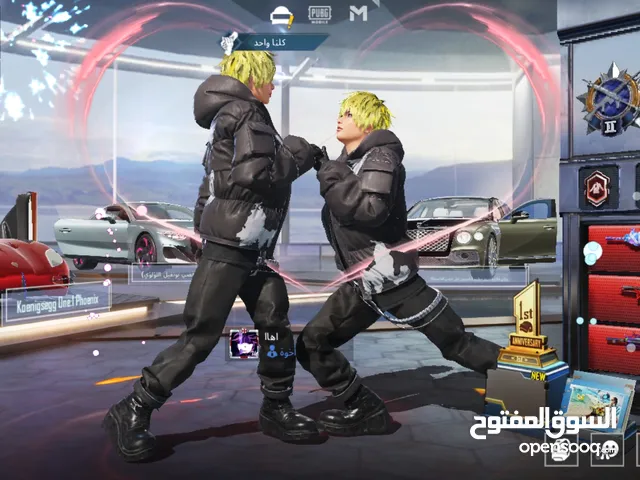 Pubg Accounts and Characters for Sale in Basra